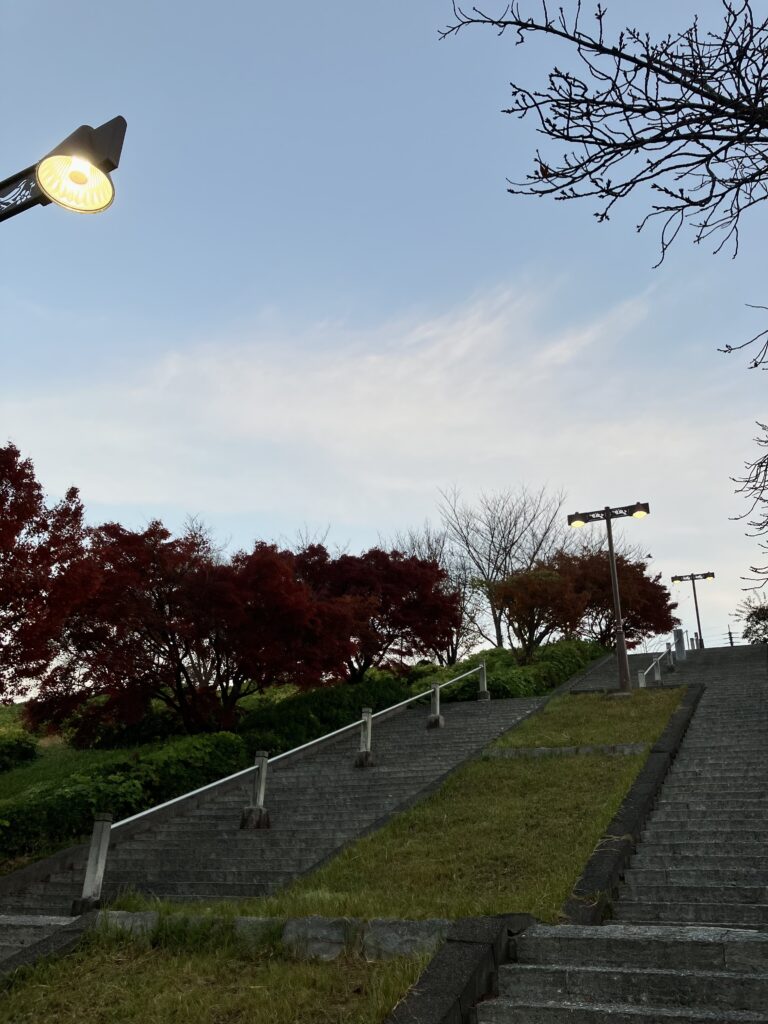 2025年12月2日 晩秋都坂