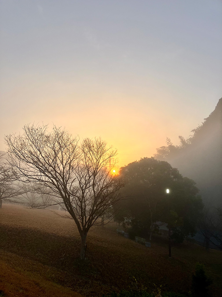 2026年1月16日 霧の都坂