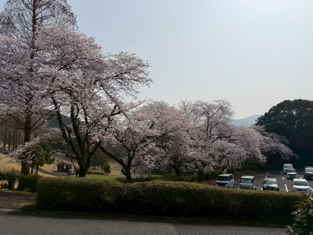 都坂土筆会ゴルフコンペ20260328