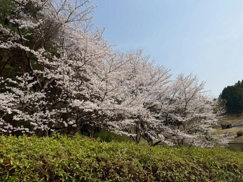 都坂土筆会ゴルフコンペ20260328