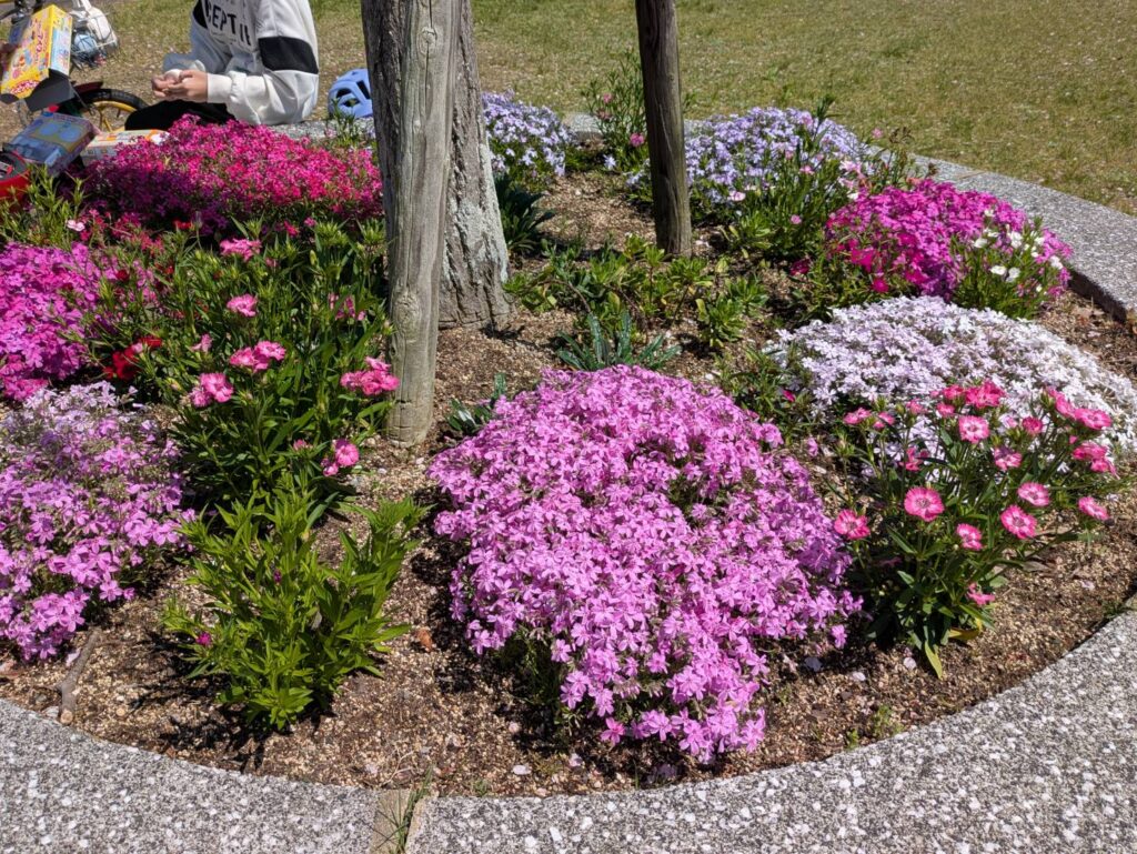 都坂集会所前の花壇